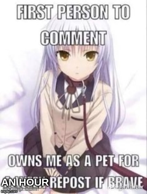 first person to comment owns as a pet for a week | AN HOUR | image tagged in first person to comment owns as a pet for a week | made w/ Imgflip meme maker