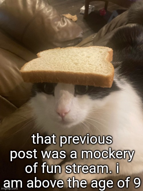 bread cat | that previous post was a mockery of fun stream. i am above the age of 9 | image tagged in bread cat | made w/ Imgflip meme maker