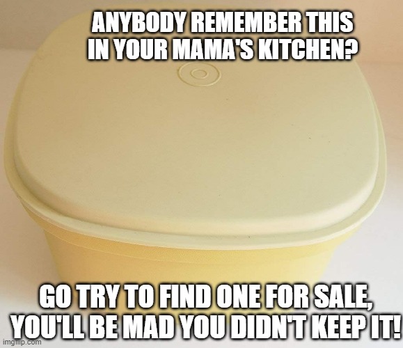 Tupperware | ANYBODY REMEMBER THIS IN YOUR MAMA'S KITCHEN? GO TRY TO FIND ONE FOR SALE, YOU'LL BE MAD YOU DIDN'T KEEP IT! | image tagged in tupperware | made w/ Imgflip meme maker