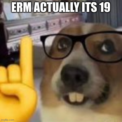 ERM ACTUALLY ITS 19 | made w/ Imgflip meme maker