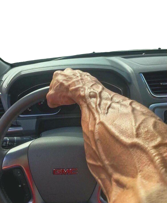 High Quality Chad Driver Blank Meme Template