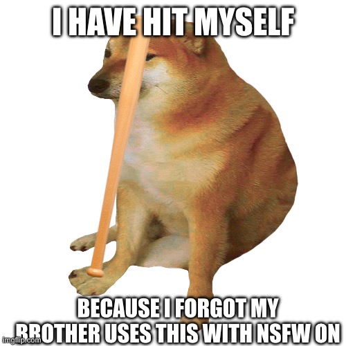 cheems | I HAVE HIT MYSELF BECAUSE I FORGOT MY BROTHER USES THIS WITH NSFW ON | image tagged in cheems | made w/ Imgflip meme maker