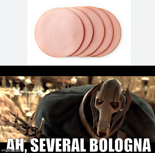 Several Bologna | AH, SEVERAL BOLOGNA | image tagged in general kenobi,general grievous,star wars | made w/ Imgflip meme maker