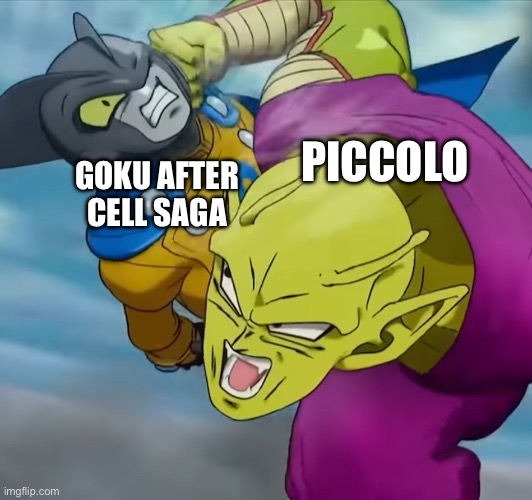 POV: After resurrection | GOKU AFTER CELL SAGA; PICCOLO | image tagged in piccolo and gamma 2,goku,cell saga,dbz,piccolo,anime | made w/ Imgflip meme maker