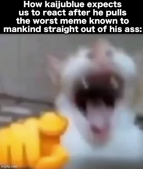 Slander shit idk | How kaijublue expects us to react after he pulls the worst meme known to mankind straight out of his ass: | image tagged in cat pointing and laughing | made w/ Imgflip meme maker