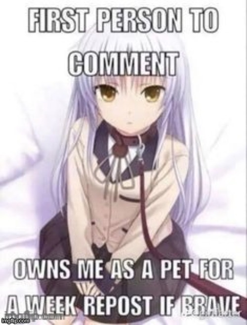 :) | image tagged in first person to comment owns as a pet for a week | made w/ Imgflip meme maker