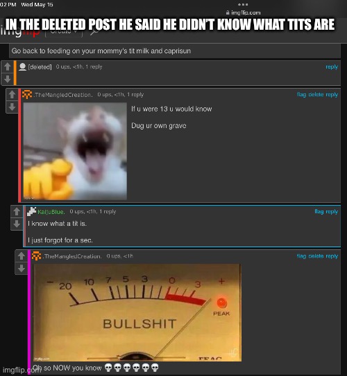IN THE DELETED POST HE SAID HE DIDN’T KNOW WHAT TITS ARE | image tagged in underage | made w/ Imgflip meme maker