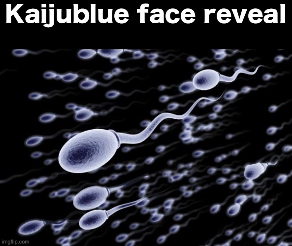 sperm swimming | Kaijublue face reveal | image tagged in sperm swimming | made w/ Imgflip meme maker
