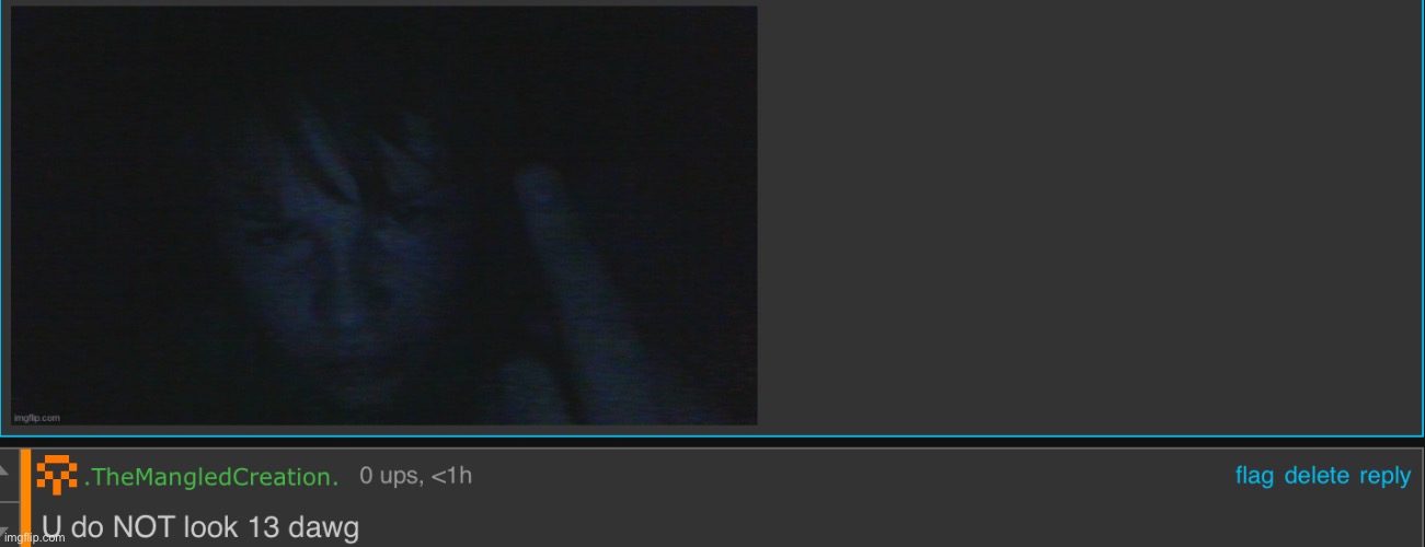 image tagged in bro is not thirteen | made w/ Imgflip meme maker