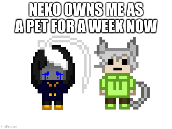 am I cooked or will I be ok | NEKO OWNS ME AS A PET FOR A WEEK NOW | image tagged in e | made w/ Imgflip meme maker