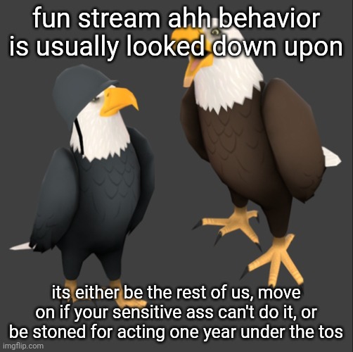 oh and don't say slurs or do mild harassment | fun stream ahh behavior is usually looked down upon; its either be the rest of us, move on if your sensitive ass can't do it, or be stoned for acting one year under the tos | image tagged in tf2 eagles | made w/ Imgflip meme maker