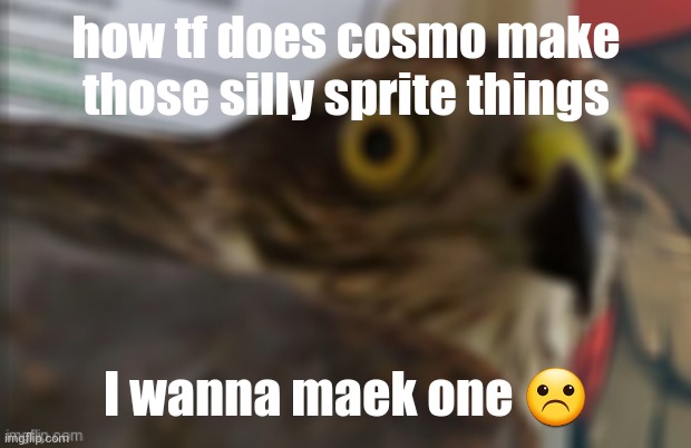 shocked bird | how tf does cosmo make those silly sprite things; I wanna maek one ☹️ | image tagged in shocked bird | made w/ Imgflip meme maker