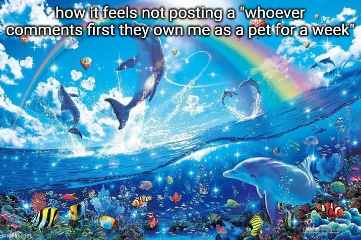 free will guys its so easy | how it feels not posting a "whoever comments first they own me as a pet for a week" | image tagged in happy dolphin rainbow | made w/ Imgflip meme maker