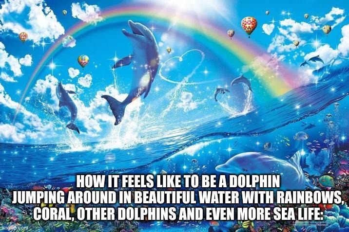 Happy dolphin rainbow | HOW IT FEELS LIKE TO BE A DOLPHIN JUMPING AROUND IN BEAUTIFUL WATER WITH RAINBOWS, CORAL, OTHER DOLPHINS AND EVEN MORE SEA LIFE: | image tagged in happy dolphin rainbow | made w/ Imgflip meme maker
