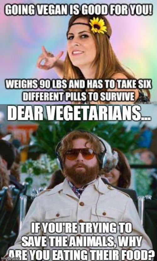 Scrawny vegans eating the animals food | image tagged in vegetarian | made w/ Imgflip meme maker