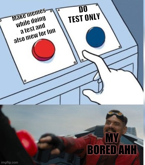 Two Buttons Eggman | DO TEST ONLY; Make memes while doing a test and also mew for fun; MY BORED AHH | image tagged in two buttons eggman | made w/ Imgflip meme maker