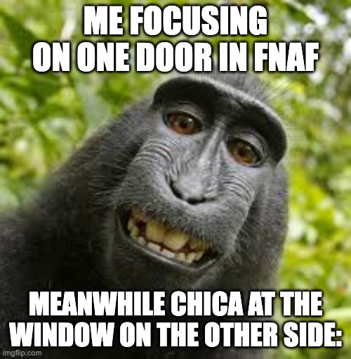 Chica Fr | ME FOCUSING ON ONE DOOR IN FNAF; MEANWHILE CHICA AT THE WINDOW ON THE OTHER SIDE: | image tagged in fnaf,chica looking in window fnaf | made w/ Imgflip meme maker