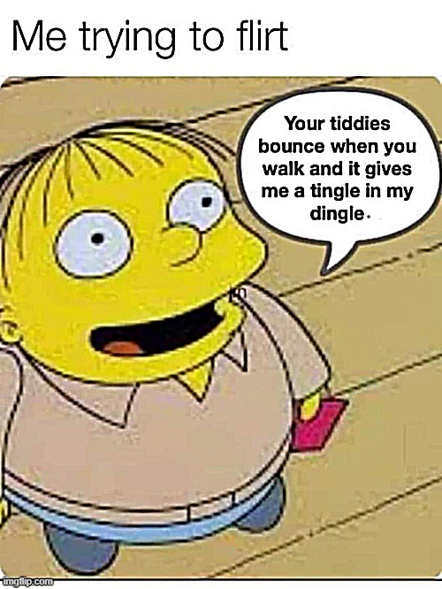 Bouncing tiddies ! | image tagged in boner | made w/ Imgflip meme maker