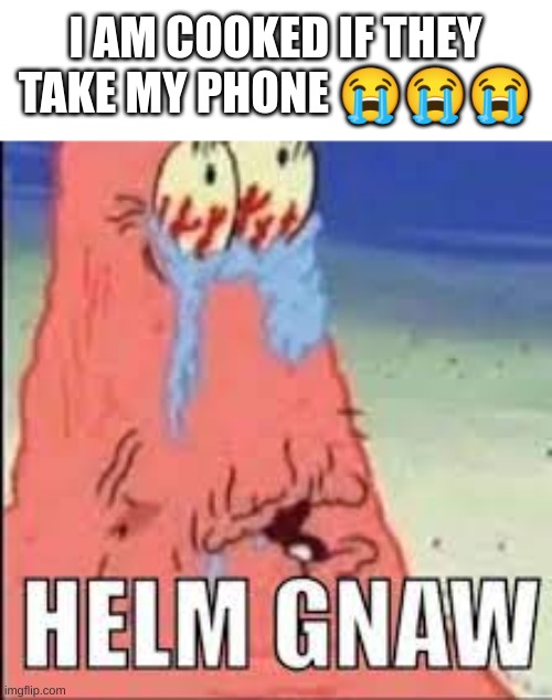 HELM GNAW | I AM COOKED IF THEY TAKE MY PHONE ??? | image tagged in helm gnaw | made w/ Imgflip meme maker
