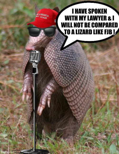 armadillo | I HAVE SPOKEN WITH MY LAWYER & I WILL NOT BE COMPARED TO A LIZARD LIKE FJB ! | image tagged in armadillo | made w/ Imgflip meme maker