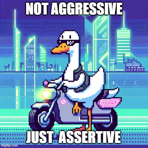 not aggressive just Assertive | NOT AGGRESSIVE; JUST 	ASSERTIVE | image tagged in goose,goose memes,geese,assertive | made w/ Imgflip meme maker