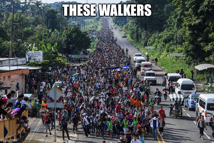 immigrant caravan | THESE WALKERS | image tagged in immigrant caravan | made w/ Imgflip meme maker