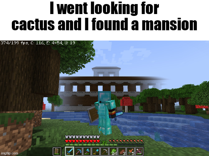 Unexpected surprise | I went looking for cactus and I found a mansion | image tagged in cactus,minecraft | made w/ Imgflip meme maker