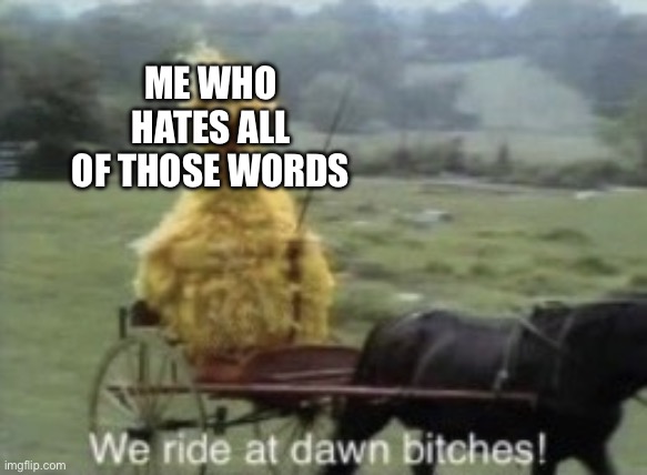 we ride at dawn | ME WHO HATES ALL OF THOSE WORDS | image tagged in we ride at dawn | made w/ Imgflip meme maker