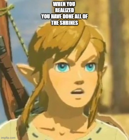 Offended Link | WHEN YOU 
REALIZED
YOU HAVE DONE ALL OF
THE SHRINES | image tagged in offended link | made w/ Imgflip meme maker