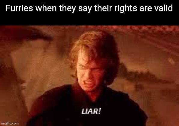 Anakin Liar | Furries when they say their rights are valid | image tagged in anakin liar | made w/ Imgflip meme maker