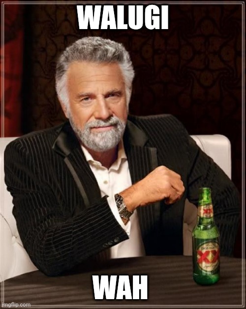 The Most Interesting Man In The World Meme | WALUGI; WAH | image tagged in memes,the most interesting man in the world | made w/ Imgflip meme maker
