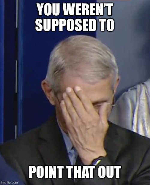 Dr Fauci | YOU WEREN’T SUPPOSED TO POINT THAT OUT | image tagged in dr fauci | made w/ Imgflip meme maker