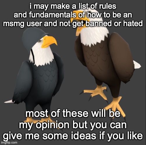 tf2 eagles | i may make a list of rules and fundamentals of how to be an msmg user and not get banned or hated; most of these will be my opinion but you can give me some ideas if you like | image tagged in tf2 eagles | made w/ Imgflip meme maker
