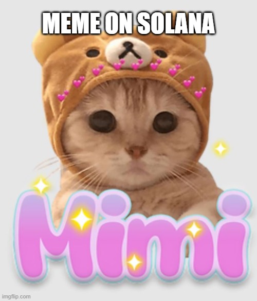 Mimi on Solana | MEME ON SOLANA | image tagged in mimi,cute cat | made w/ Imgflip meme maker