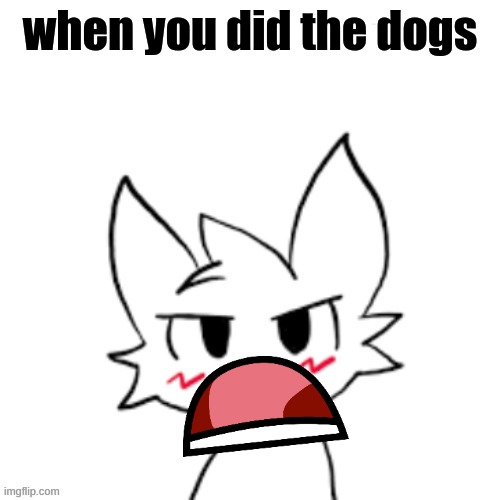 Mad BoyKisser | when you did the dogs | image tagged in mad boykisser | made w/ Imgflip meme maker