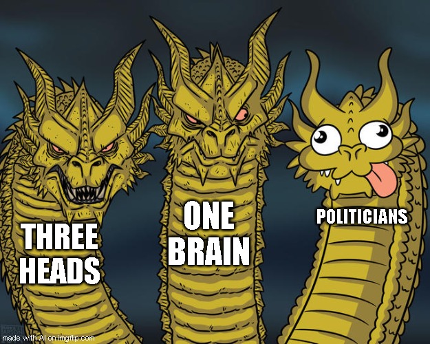 Three-headed Dragon | ONE BRAIN; POLITICIANS; THREE HEADS | image tagged in three-headed dragon | made w/ Imgflip meme maker