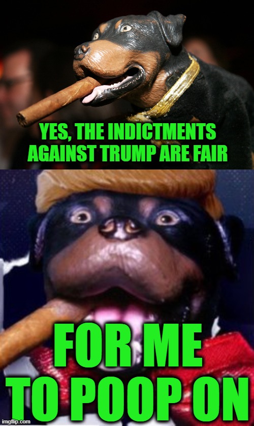 YES, THE INDICTMENTS AGAINST TRUMP ARE FAIR FOR ME TO POOP ON | image tagged in triumph the insult dog | made w/ Imgflip meme maker