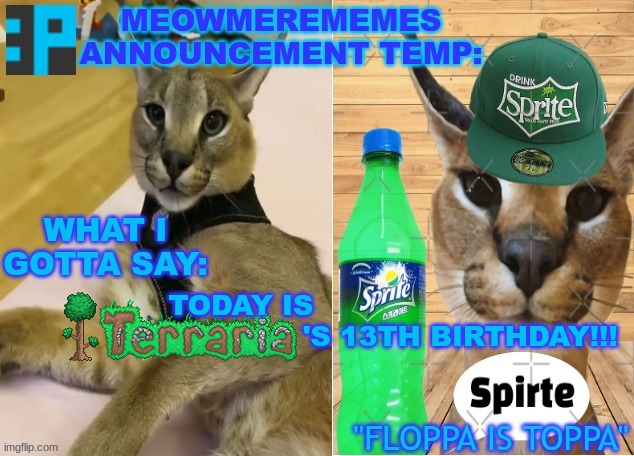 yippie! | TODAY IS                
                               'S 13TH BIRTHDAY!!! | image tagged in meowmere's announcement temp | made w/ Imgflip meme maker