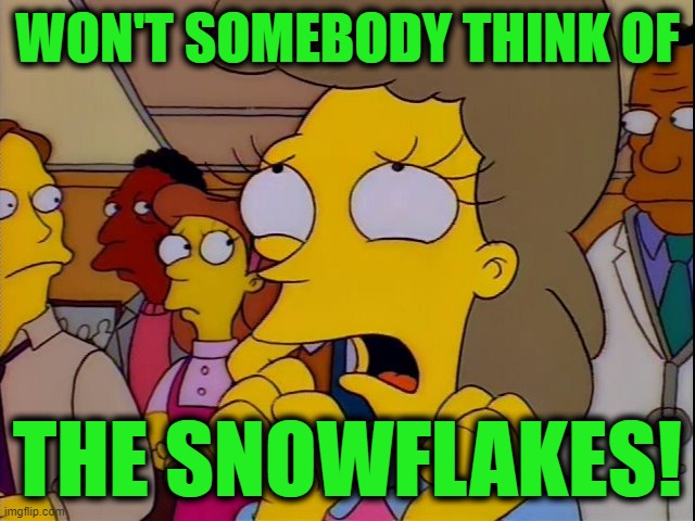 Helen Lovejoy - Children | WON'T SOMEBODY THINK OF THE SNOWFLAKES! | image tagged in helen lovejoy - children | made w/ Imgflip meme maker
