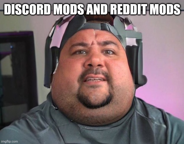 Fat guy | DISCORD MODS AND REDDIT MODS | image tagged in fat guy | made w/ Imgflip meme maker