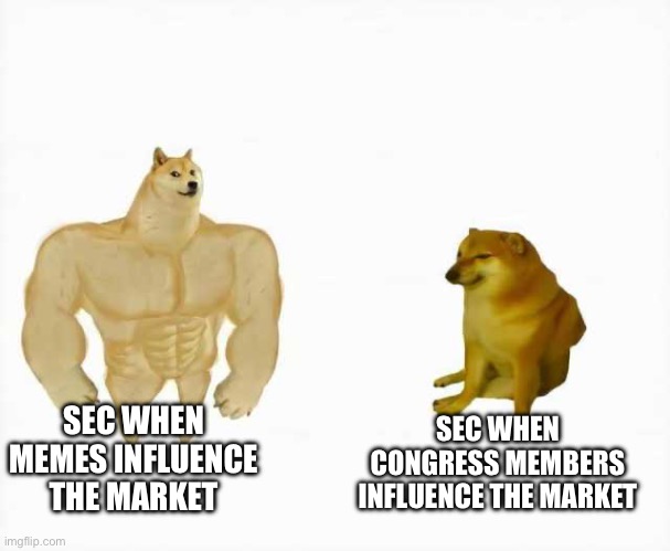 Based SEC | SEC WHEN MEMES INFLUENCE THE MARKET; SEC WHEN CONGRESS MEMBERS INFLUENCE THE MARKET | image tagged in strong dog vs weak dog,stonks | made w/ Imgflip meme maker
