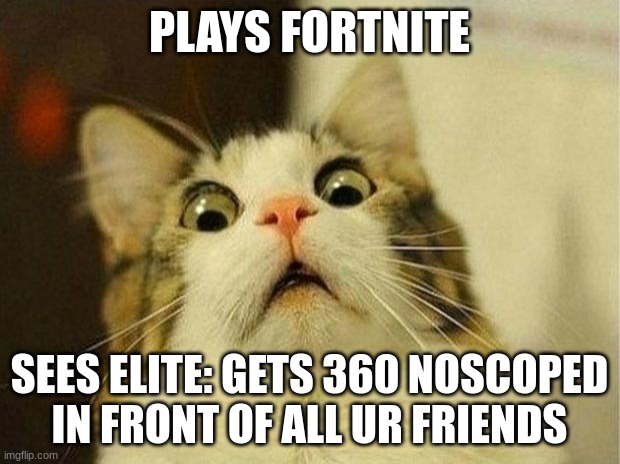 plays fortnite | PLAYS FORTNITE; SEES ELITE: GETS 360 NOSCOPED IN FRONT OF ALL UR FRIENDS | image tagged in memes,scared cat,fortnite | made w/ Imgflip meme maker