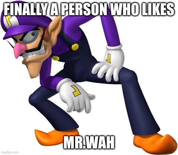 Waluigi | FINALLY A PERSON WHO LIKES MR.WAH | image tagged in waluigi | made w/ Imgflip meme maker
