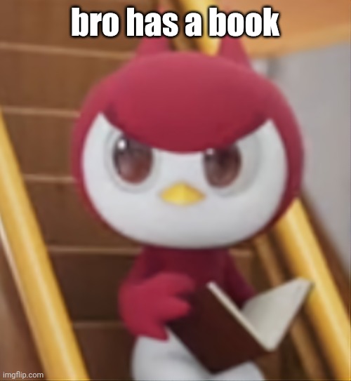 BOOK ❗️ | bro has a book | image tagged in book | made w/ Imgflip meme maker