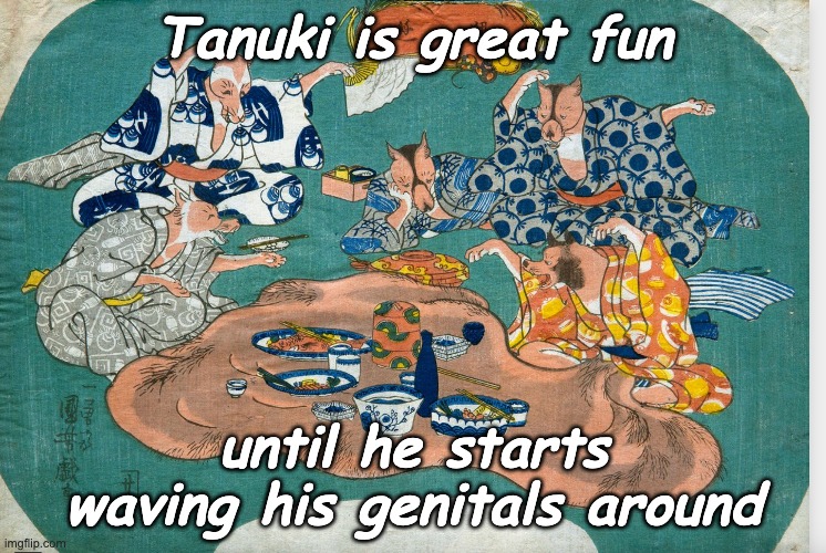 Tanuki is great fun until he starts
waving his genitals around | made w/ Imgflip meme maker