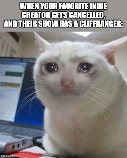 Meme | WHEN YOUR FAVORITE INDIE CREATOR GETS CANCELLED, AND THEIR SHOW HAS A CLIFFHANGER: | image tagged in crying cat | made w/ Imgflip meme maker