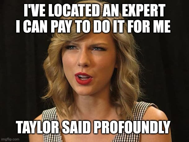 Taylor said profoundly | I'VE LOCATED AN EXPERT I CAN PAY TO DO IT FOR ME; TAYLOR SAID PROFOUNDLY | image tagged in taylor swiftie | made w/ Imgflip meme maker