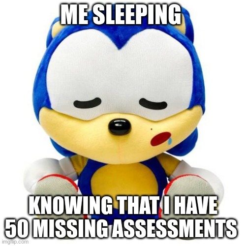 Honestly I want one of these(check out my meme server: https://imgflip.com/m/Sonic-plushies) | ME SLEEPING; KNOWING THAT I HAVE 50 MISSING ASSESSMENTS | image tagged in sleepy sonic plush,sleep,sleeping,sonic the hedgehog,sonic,sonic meme | made w/ Imgflip meme maker