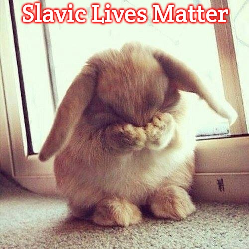Shy rabbit | Slavic Lives Matter | image tagged in shy rabbit,slavic | made w/ Imgflip meme maker