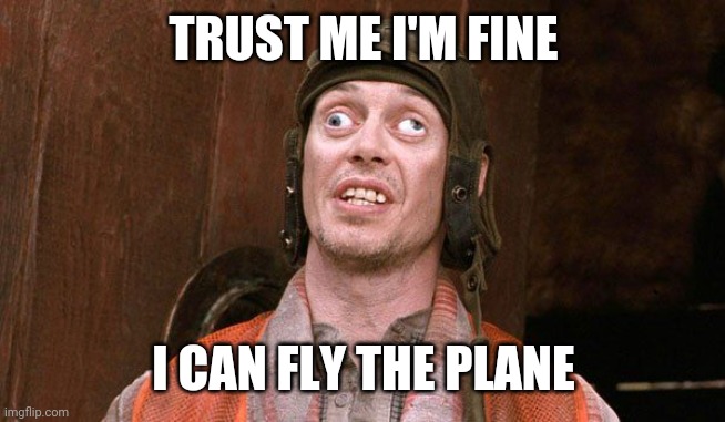 I'm fine | TRUST ME I'M FINE; I CAN FLY THE PLANE | image tagged in steve buschemi crazy euws,funny memes | made w/ Imgflip meme maker